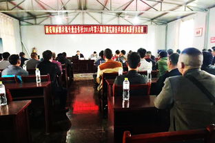 各部門同頻共振 專合社海納百川 —— 市場調(diào)查服務(wù)在協(xié)同機制中的關(guān)鍵角色